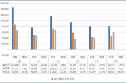 自主三强半年失意 换来对市场的思考