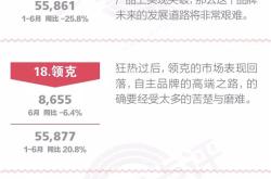 一句话点评6月自主品牌：有人蜷缩过冬，有人陷入噩梦
