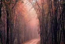 蔚来与小鹏软件同日升级：一场生死攸关的自动驾驶OTA