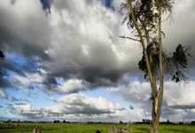 宋佳站台！奥迪A6L纯电售30.98-43.98万 815km续航