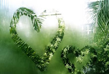 蔚来与小鹏软件同日升级：一场生死攸关的自动驾驶OTA