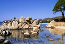 孟子义代言！五菱缤果Pro预售5.88万起，5门5座车